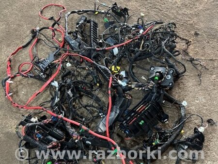 ФОТО Электропроводка для Audi (Ауди) A5 F5 B9 (16-24) Київ