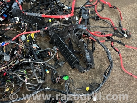 ФОТО Электропроводка для Audi (Ауди) A5 F5 B9 (16-24) Київ