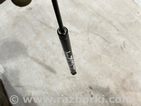 ФОТО Амортизатор капота для Audi (Ауди) A6 C7 4G (11-18) Київ