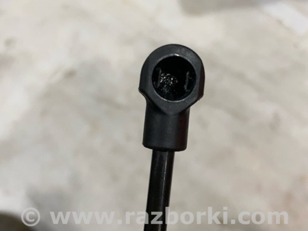 ФОТО Амортизатор капота для Audi (Ауди) A6 C7 4G (11-18) Київ