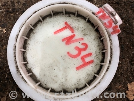 ФОТО Крышка топливного насоса для Audi (Ауди) A6 C7 4G (11-18) Київ