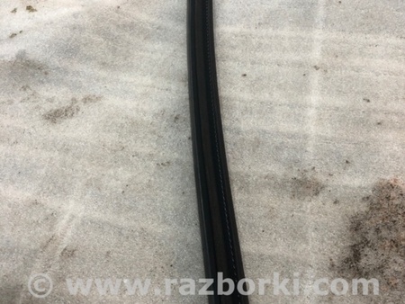 ФОТО Уплотнительная резинка для Audi (Ауди) A6 C7 4G (11-18) Київ