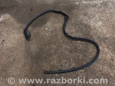 ФОТО Уплотнительная резинка для Audi (Ауди) A6 C7 4G (11-18) Київ