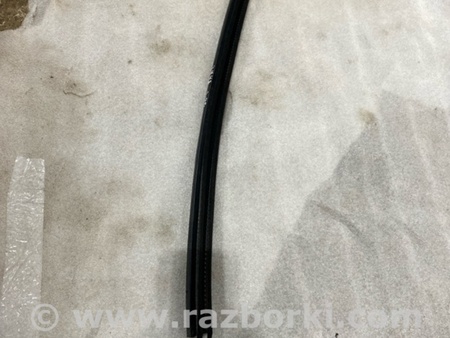 ФОТО Уплотнитель стекла двери для Audi (Ауди) A6 C7 4G (11-18) Київ