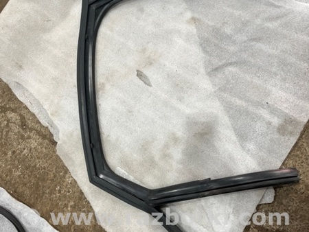 ФОТО Уплотнительная резинка боковой двери для Audi (Ауди) A6 C7 4G (11-18) Київ