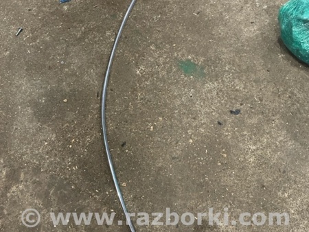 ФОТО Молдинг крыши для Audi (Ауди) A6 C7 4G (11-18) Київ