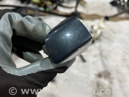 ФОТО пластик двери для Audi (Ауди) A6 C7 4G (11-18) Київ