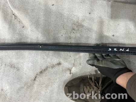 ФОТО Уплотнитель стекла двери для Audi (Ауди) A6 C7 4G (11-18) Київ