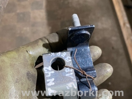 ФОТО Петля двери для Audi (Ауди) A6 C7 4G (11-18) Київ