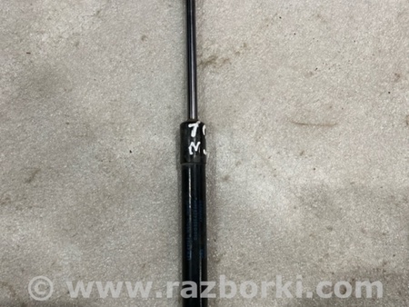 ФОТО Амортизатор капота для Audi (Ауди) A8 III D4 4H (09-17) Київ