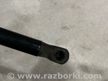 ФОТО Амортизатор капота для Audi (Ауди) A8 III D4 4H (09-17) Київ