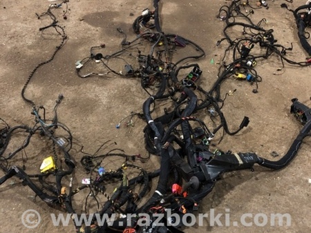 ФОТО Электропроводка для Audi (Ауди) A8 III D4 4H (09-17) Київ
