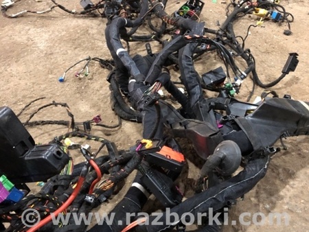 ФОТО Электропроводка для Audi (Ауди) A8 III D4 4H (09-17) Київ