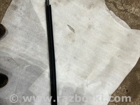 ФОТО Молдинг двери для Audi (Ауди) A8 III D4 4H (09-17) Київ