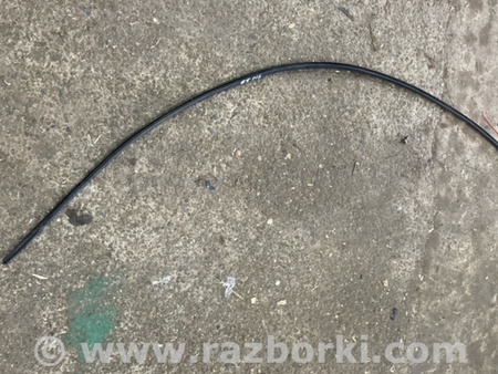 ФОТО Молдинг крыши для Audi (Ауди) A8 III D4 4H (09-17) Київ