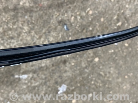 ФОТО Молдинг крыши для Audi (Ауди) A8 III D4 4H (09-17) Київ