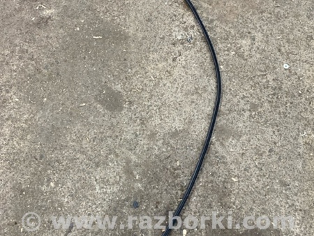 ФОТО Молдинг крыши для Audi (Ауди) A8 III D4 4H (09-17) Київ