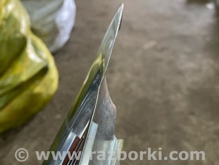 ФОТО Молдинг крыши для Audi (Ауди) A8 III D4 4H (09-17) Київ