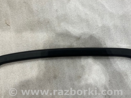 ФОТО пластик двери для Audi (Ауди) A8 III D4 4H (09-17) Київ