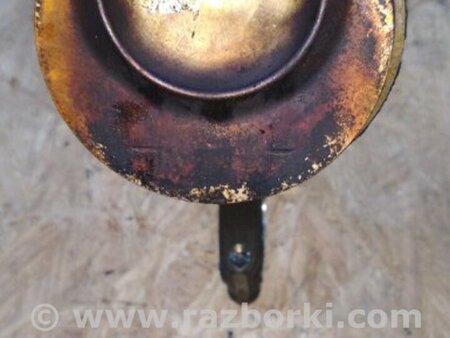 ФОТО Поршень для Volkswagen Atlas/Teramont I +1 рест (17-23) Київ