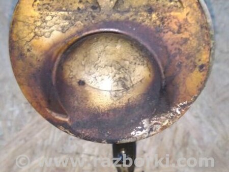 ФОТО Поршень для Volkswagen Atlas/Teramont I +1 рест (17-23) Київ