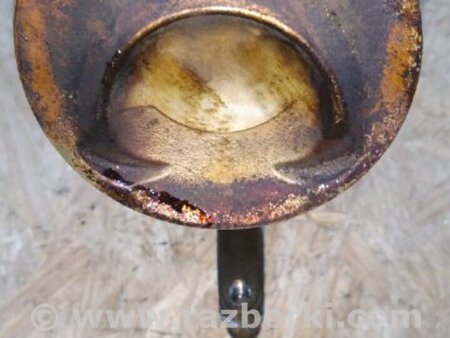 ФОТО Поршень для Volkswagen Atlas/Teramont I +1 рест (17-23) Київ