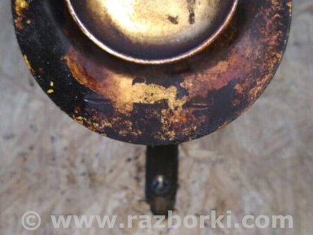 ФОТО Поршень для Volkswagen Atlas/Teramont I +1 рест (17-23) Київ