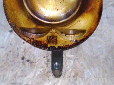 ФОТО Поршень для Volkswagen Atlas/Teramont I +1 рест (17-23) Київ