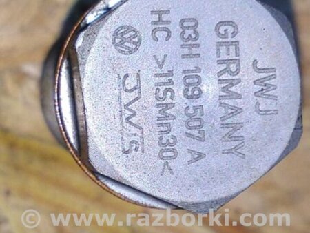 ФОТО Натяжитель цепи ГРМ для Volkswagen Atlas/Teramont I +1 рест (17-23) Київ