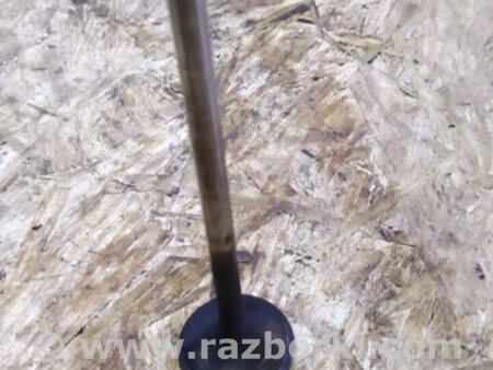 ФОТО Клапан выпускной для Volkswagen Atlas/Teramont I +1 рест (17-23) Київ