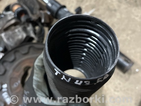 ФОТО Пыльник амортизатора для Volkswagen Atlas/Teramont I +1 рест (17-23) Київ