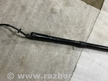 ФОТО Амортизатор крышки багажника для Porsche Cayenne II 958 E2/92A (10-14) Київ