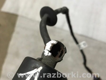 ФОТО Амортизатор крышки багажника для Porsche Cayenne II 958 E2/92A (10-14) Київ