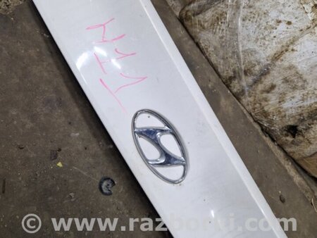 ФОТО Накладка крышки багажника для Hyundai ix35 I LM/EL Tucson (10-17) Київ