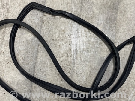 ФОТО Уплотнительная резинка боковой двери для Subaru Legacy VII BW (19-25) Київ