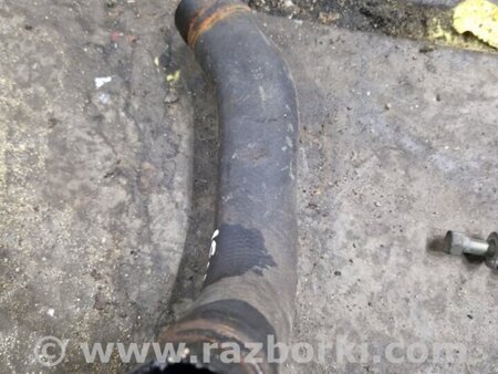 ФОТО Патрубок радиатора для Subaru Legacy IV BL/BP (03-09) Київ