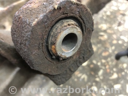 ФОТО Цапфа задняя для Subaru Legacy IV BL/BP (03-09) Київ