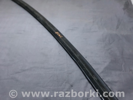 ФОТО Уплотнительная резинка для Porsche Macan I 95B +FL (13-18) Київ