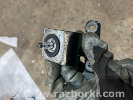 ФОТО Петля двери багажника для Porsche Macan I 95B +FL (13-18) Київ