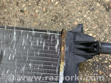 ФОТО Радиатор основной для Renault Megane 3 (08-16) Київ