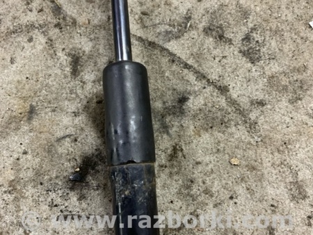 ФОТО Амортизатор багажника для Renault Megane 3 (08-16) Київ