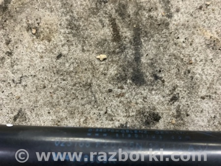 ФОТО Амортизатор багажника для Renault Megane 3 (08-16) Київ