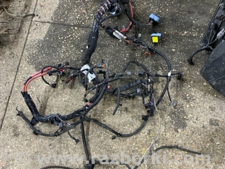 ФОТО Проводка для Renault Megane 3 (08-16) Київ