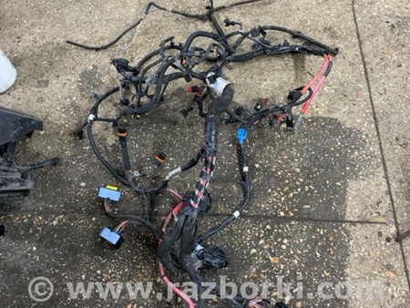 ФОТО Проводка для Renault Megane 3 (08-16) Київ