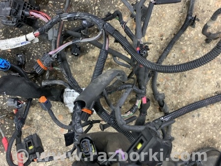 ФОТО Проводка для Renault Megane 3 (08-16) Київ