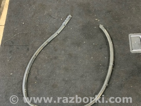 ФОТО Уплотнительная резинка задняя левая для Renault Megane 3 (08-16) Київ