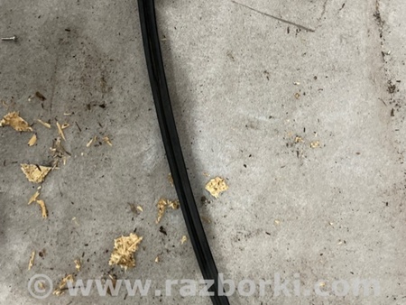 ФОТО Уплотнитель стекла двери для Subaru Outback VI BT (2019-) Київ