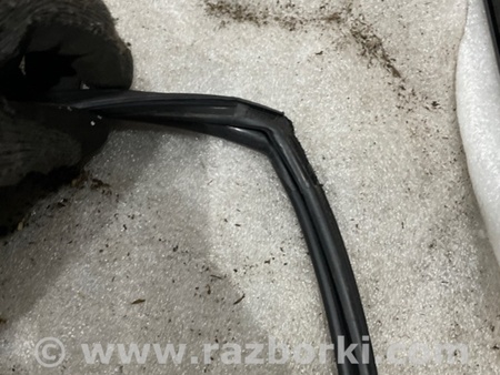 ФОТО Уплотнитель стекла двери для Subaru Outback VI BT (2019-) Київ