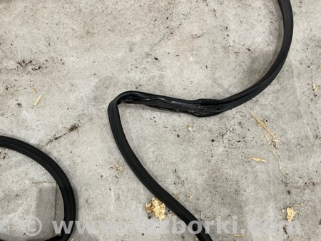 ФОТО Уплотнитель стекла двери для Subaru Outback VI BT (2019-) Київ