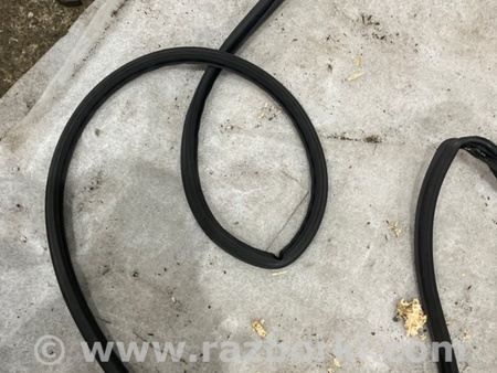 ФОТО Уплотнитель стекла двери для Subaru Outback VI BT (2019-) Київ